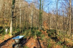 Cast iron bathtub in the forest near a hydrogen sulfide spring in the Carpathians