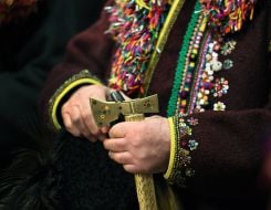 Колядники из Криворовни в Доме Франко