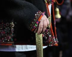 Колядники из Криворовни в Доме Франко