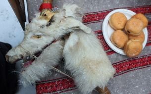 Маска кози та пампухи на тарілці