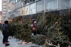 Christmas trees for sale in Kyiv