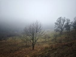 Краєвид на гори Вороняки на території Підгорецького монастиря