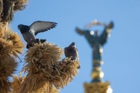 Голуби возле  дидуха