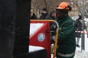 The work of the Christmas tree collection and recycling point in Kyiv