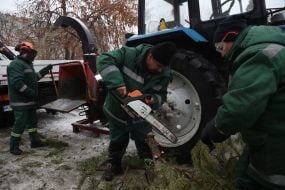 The work of the Christmas tree collection and recycling point in Kyiv
