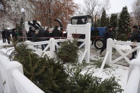 The work of the Christmas tree collection and recycling point in Kyiv