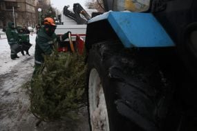 The work of the Christmas tree collection and recycling point in Kyiv