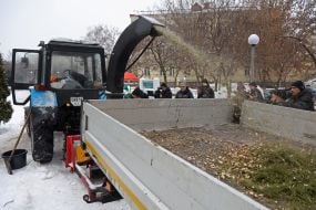 The work of the Christmas tree collection and recycling point in Kyiv