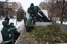 The work of the Christmas tree collection and recycling point in Kyiv