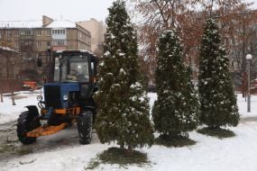 The work of the Christmas tree collection and recycling point in Kyiv