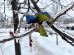 A bell with a yellow and blue ribbon on the icy branches of a tree