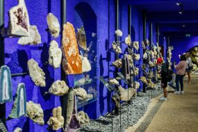 Виставка мінералів