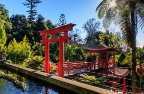 Пагода у Тропічному саду Монте-Палацу у місті Фуншал на острові Мадейра (Португалія)