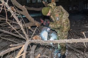An explosives technician searches for Russian missile debris