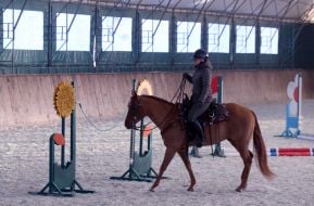 Сотрудница оленьего парка "На рогах" демонстрирует выездку