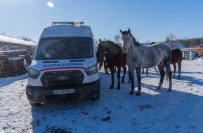 Evacuation of horses abandoned by their owner in the Kharkiv region