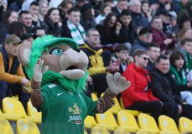 Fan in a lion costume