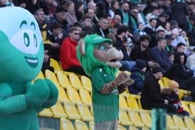 Fan in a lion costume