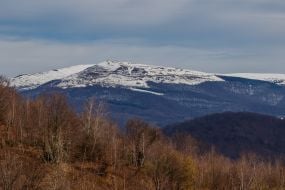 Засніжені вершини Полонини-Руна в Закарпатській області
