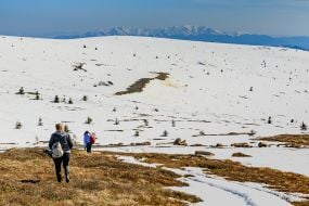Туристы идут по заснеженной Полонине Руна
