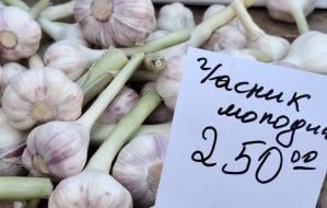 Молодий часник