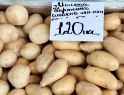 Молода картопля