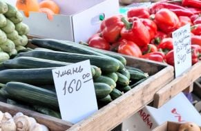 Огірки та солодкий перець