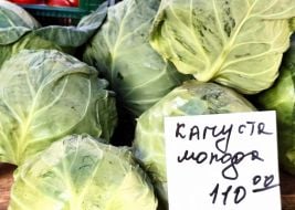 Молода капуста