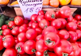 Помідори
