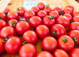 Помідори