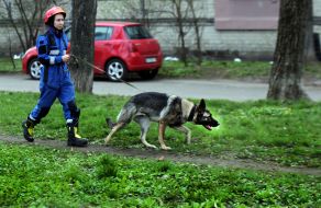 Женщина-кинолог с собакой