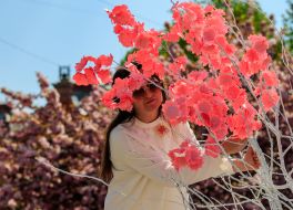Volunteers create the "Sakura Wishing Tree" installation.