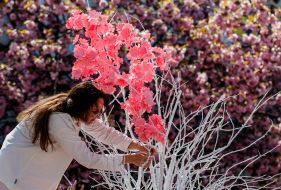 Volunteers create the "Sakura Wishing Tree" installation.