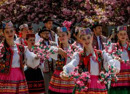 Procession as part of the Sakura Fest 2026
