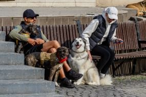 Мужчина и женщина с собаками