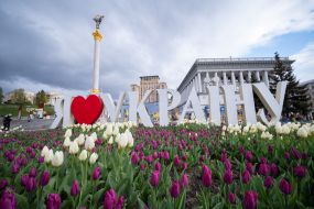 Цветущие тюльпаны на Майдане Незалежности