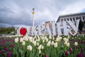 Цветущие тюльпаны на Майдане Незалежности