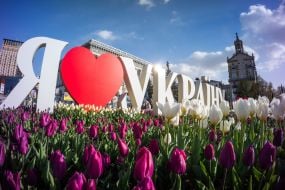 Blooming tulips on Maidan Nezalezhnosti