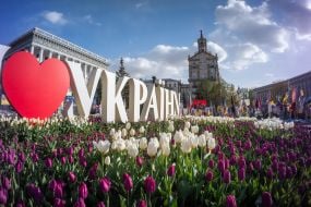 Blooming tulips on Maidan Nezalezhnosti