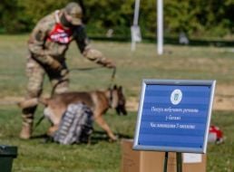 All-Ukrainian competitions of teams of canine units of law enforcement agencies