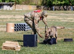 All-Ukrainian competitions of teams of canine units of law enforcement agencies