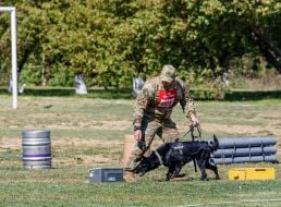 All-Ukrainian competitions of teams of canine units of law enforcement agencies