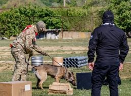 All-Ukrainian competitions of teams of canine units of law enforcement agencies