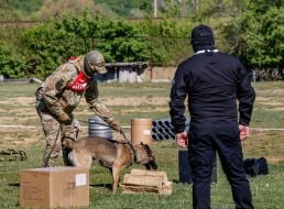 All-Ukrainian competitions of teams of canine units of law enforcement agencies