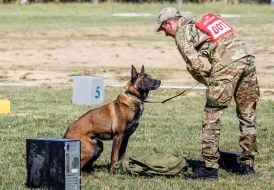 All-Ukrainian competitions of teams of canine units of law enforcement agencies
