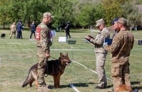 All-Ukrainian competitions of teams of canine units of law enforcement agencies in the Transcarpathian region