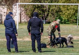 All-Ukrainian competitions of teams of canine units of law enforcement agencies