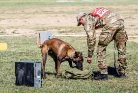 All-Ukrainian competitions of teams of canine units of law enforcement agencies
