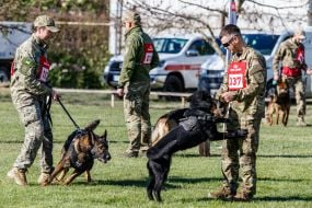 All-Ukrainian competitions of teams of canine units of law enforcement agencies