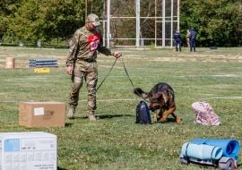 All-Ukrainian competitions of teams of canine units of law enforcement agencies